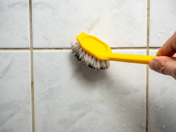 Best Mold Damage Repair  in Toast, NC