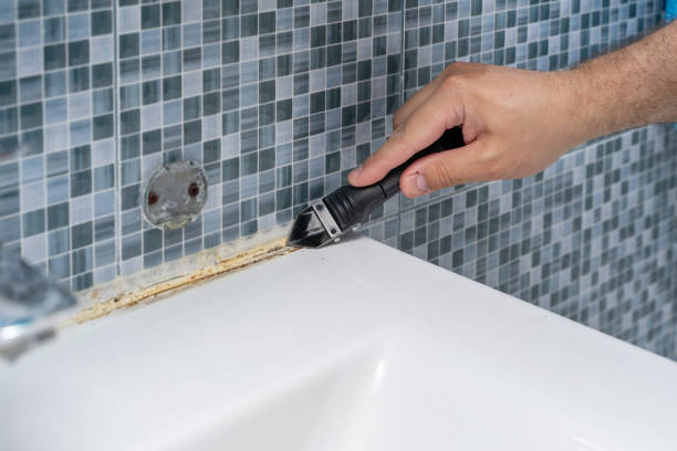 Best Office Mold Removal Services  in Toast, NC