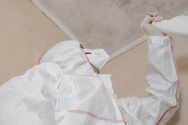 Best Emergency Mold Removal  in Toast, NC