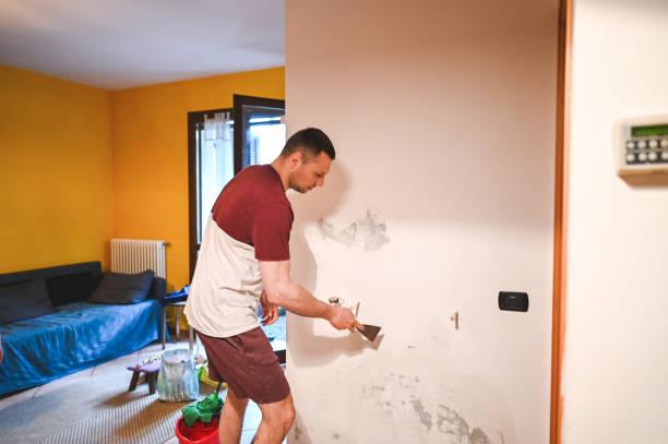 Best Home Mold Removal  in Toast, NC